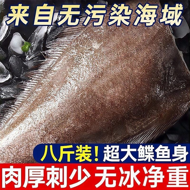 鰈魚(yú)俗稱什么魚(yú) 鰈魚(yú)俗稱什么魚(yú) 龍魚(yú)論壇 第1張