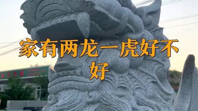 紅老虎魚混養龍魚怎么養 紅老虎魚混養龍魚怎么養 龍魚百科 第2張