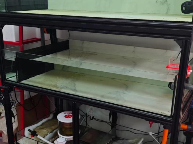 雙水位設計的魚缸有哪些推薦品牌？