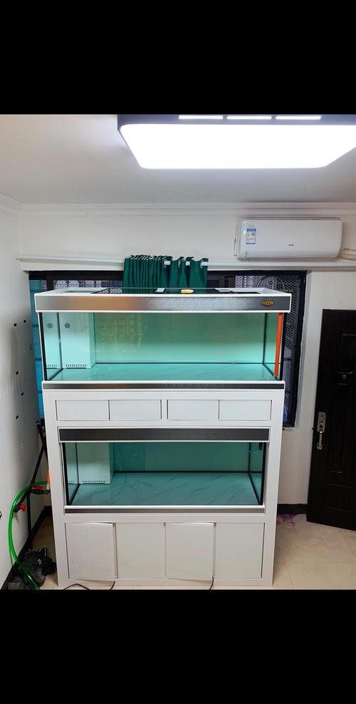 雙水位設計的魚缸有哪些推薦品牌？