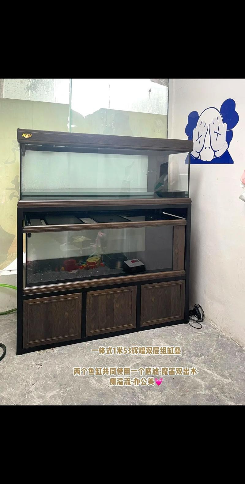 雙水位設計的魚缸有哪些推薦品牌？