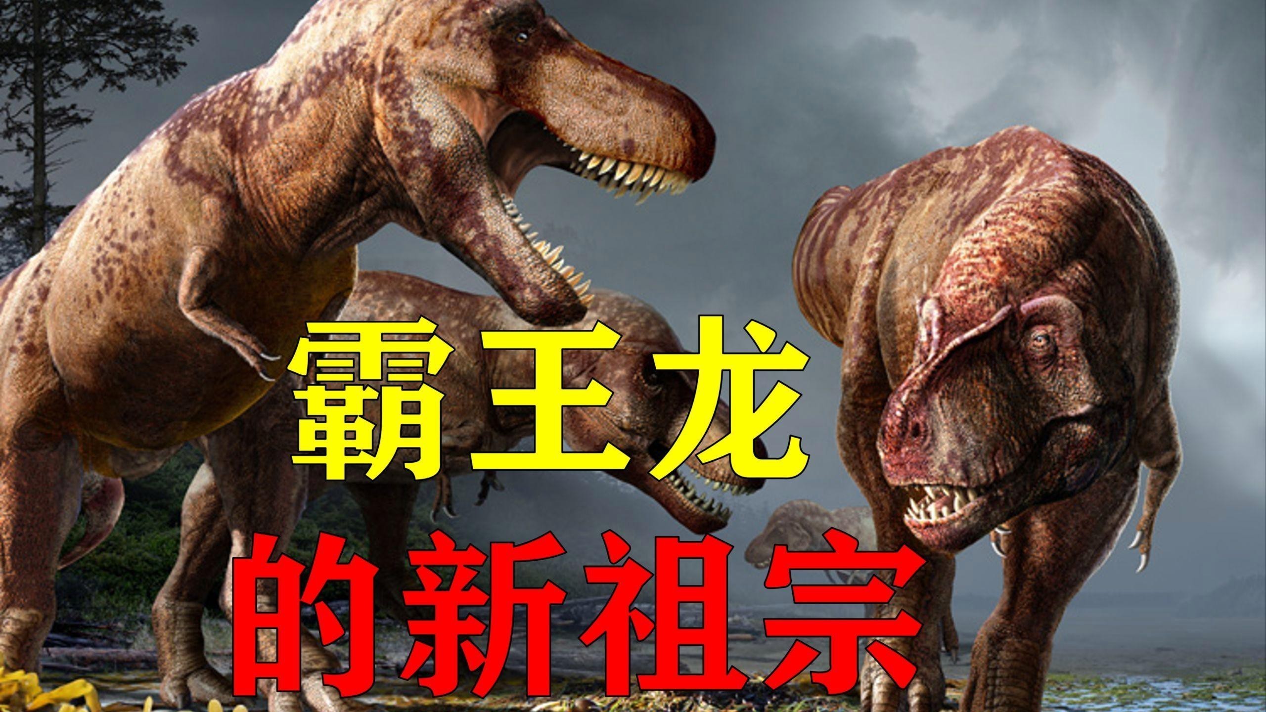 帝龍和暴龍有何區(qū)別？