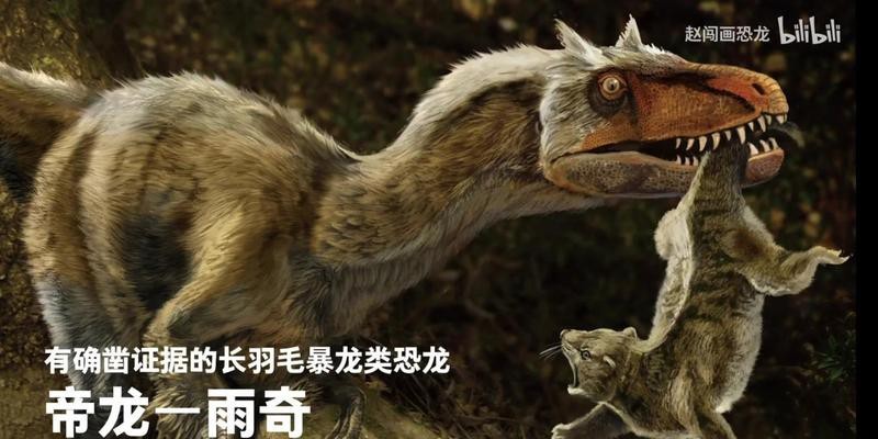 帝龍和暴龍有何區(qū)別？