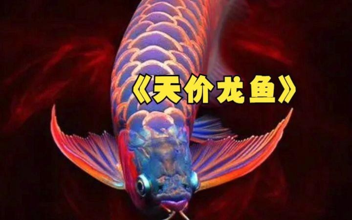 如何提高龍魚的免疫力