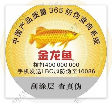 銀龍魚和什么魚混養好養幾條呢（銀龍魚和什么魚混養好養幾條呢圖片） 銀龍魚和什么魚混養好養幾條呢（銀龍魚和什么魚混養好養幾條呢圖片） 銀龍魚百科