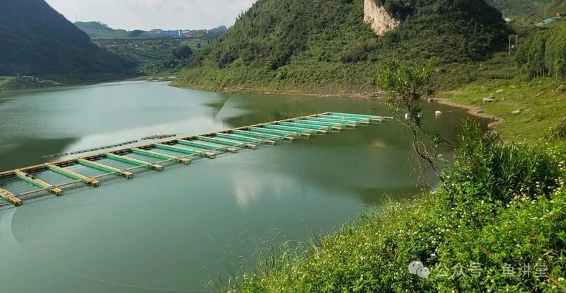 淡水魚養(yǎng)殖排名前十 淡水魚養(yǎng)殖排名前十 龍魚論壇 第3張
