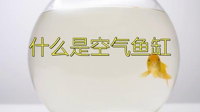 龍魚缸怎么做到空氣缸的 龍魚缸怎么做到空氣缸的 龍魚百科 第3張