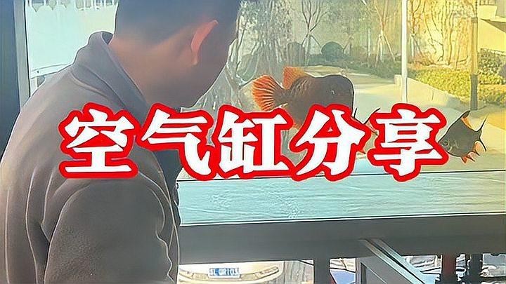 龍魚缸怎么做到空氣缸的 龍魚缸怎么做到空氣缸的 龍魚百科 第2張