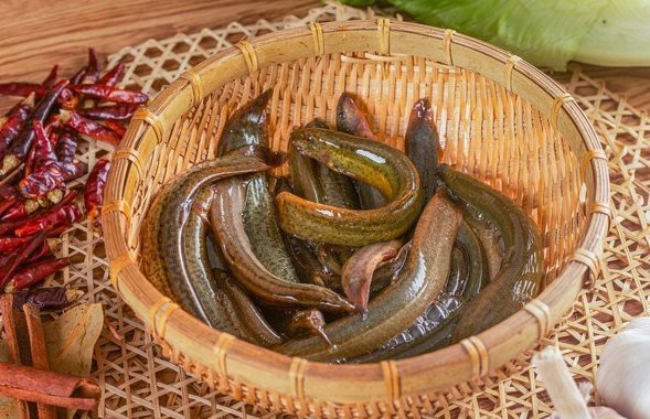 十大最臟的淡水魚(yú)排名