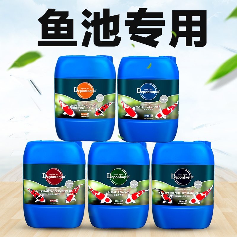 能和銀龍魚一起養的魚有哪些品種(適合與銀龍魚混養的魚有哪些)