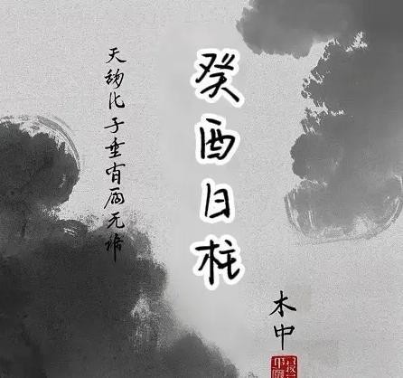 什么屬相不適合養鸚鵡