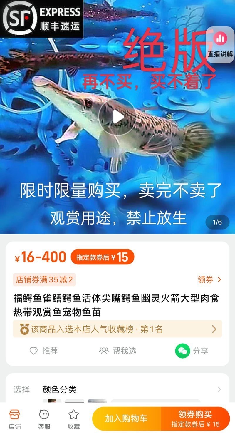 鱷雀鱔允許個人養(yǎng)嗎