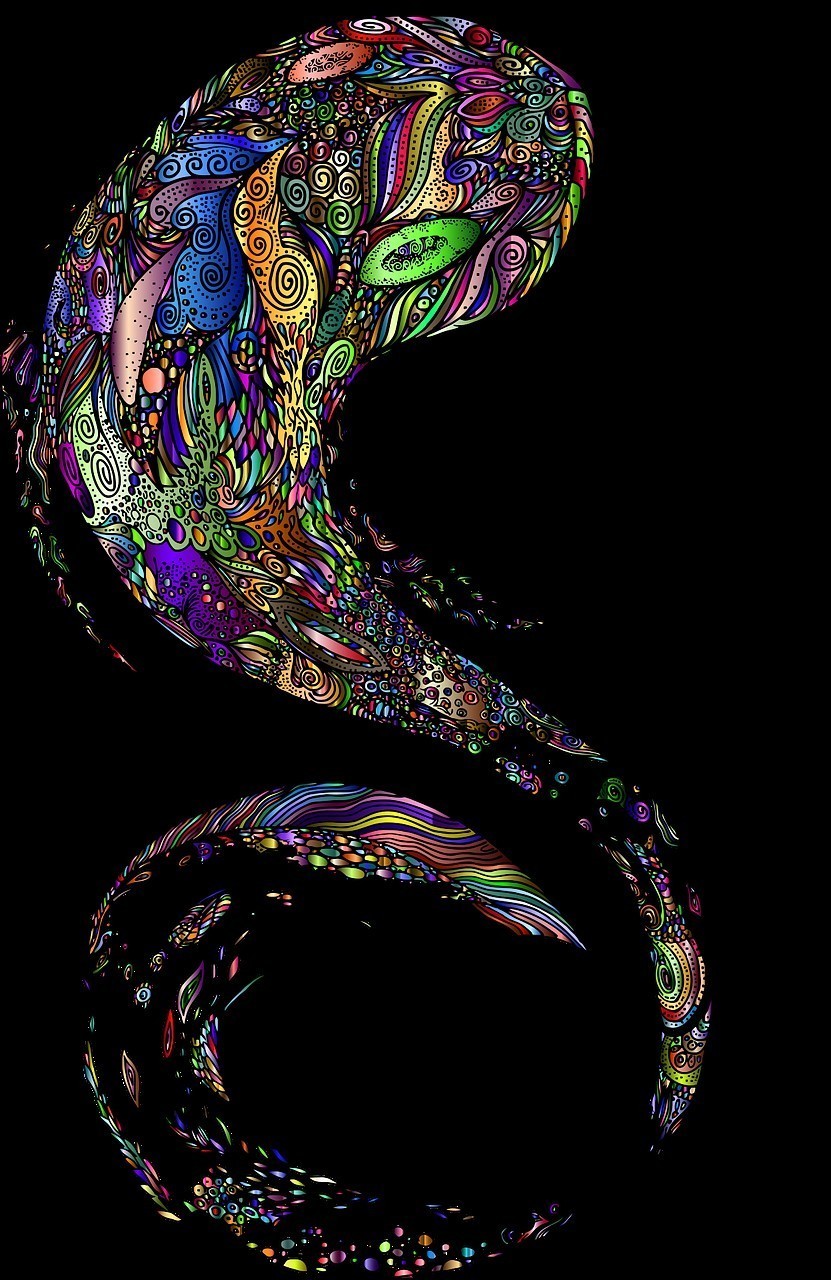 七彩雷龍魚和彩虹雷龍魚哪個兇一點(diǎn)
