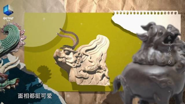 風水龍生有哪些視頻資源？ 風水龍生有哪些視頻資源？ 龍魚論壇 第3張