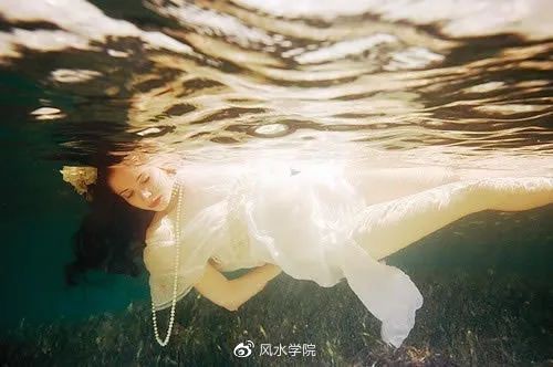 養鱉對家里風水好嗎 養鱉對家里風水好嗎 龍魚論壇 第3張