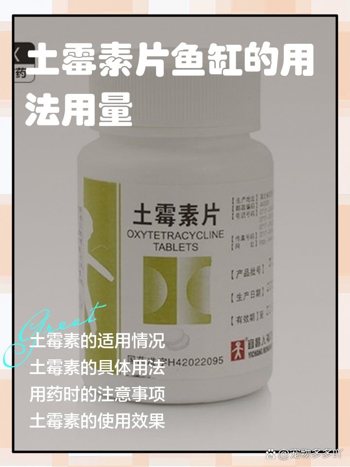 土霉素治療龍魚爛鰭的用量 土霉素治療龍魚爛鰭的用量 龍魚百科 第4張