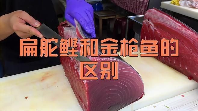 鰹魚和金槍魚的區別 龍魚論壇 第5張 鰹魚和金槍魚的區別 鰹魚和金槍魚的區別 龍魚論壇 第5張