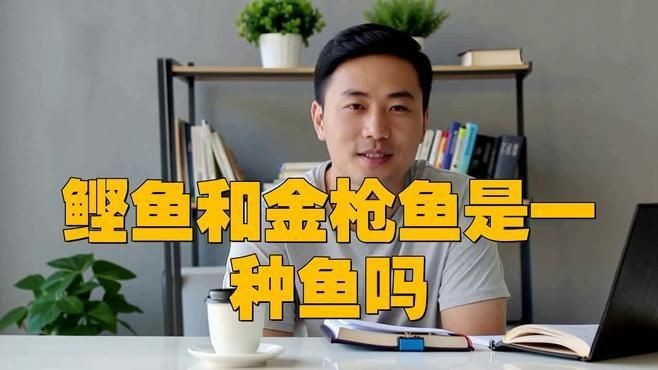 鰹魚和金槍魚的區別 龍魚論壇 第1張 鰹魚和金槍魚的區別 鰹魚和金槍魚的區別 龍魚論壇 第1張