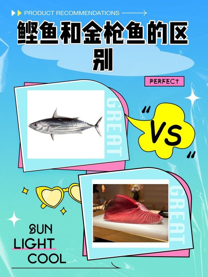 鰹魚和金槍魚的區別 龍魚論壇 第6張 鰹魚和金槍魚的區別 鰹魚和金槍魚的區別 龍魚論壇 第6張