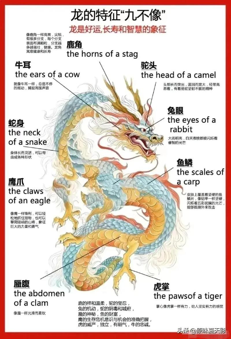 給我一張過背金龍和金龍的區別圖