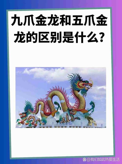 給我一張過背金龍和金龍的區別圖