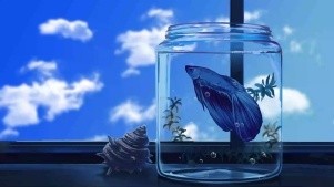 惠州市惠陽(yáng)區(qū)淡水龍東水族館（惠東縣水族館） 惠州市惠陽(yáng)區(qū)淡水龍東水族館（惠東縣水族館） 全國(guó)水族館企業(yè)名錄