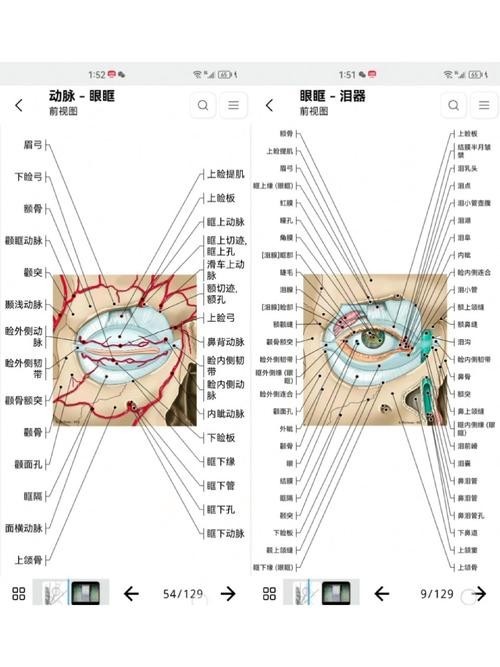 龍魚掉眼手術教程圖片大全 龍魚掉眼手術教程圖片大全 龍魚百科 第40張