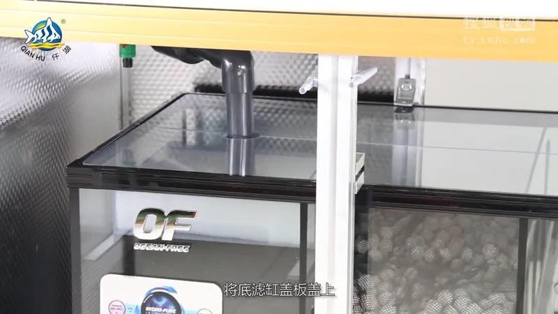 龍擺件放魚缸的正確位置 龍擺件放魚缸的正確位置 龍魚論壇 第8張