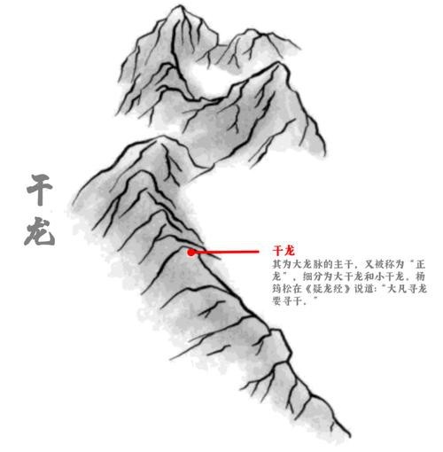 風(fēng)水龍的圖片