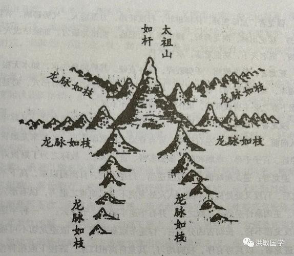 風(fēng)水龍的圖片