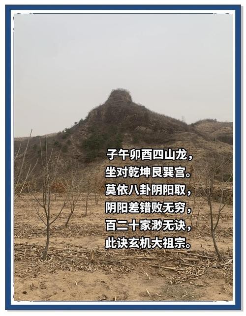 風(fēng)水龍的圖片