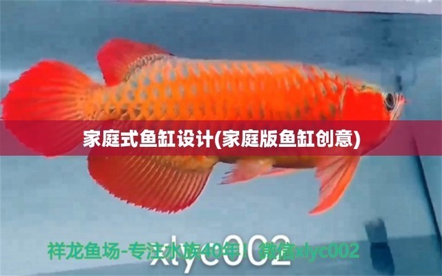 銀龍魚紅龍魚區別在哪（銀龍魚紅龍魚區別在哪里）