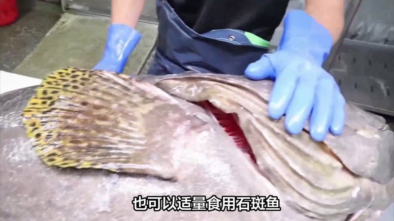 淡水石斑魚能吃嗎