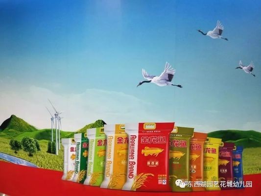 銀龍魚沉底不動是什么情況,銀龍魚沉底不愛游動是怎么回事 銀龍魚游不動(銀龍魚游不動怎么辦) 銀龍魚百科 銀龍魚游不動(銀龍魚游不動怎么辦) 銀龍魚游不動(銀龍魚游不動怎么辦) 銀龍魚百科