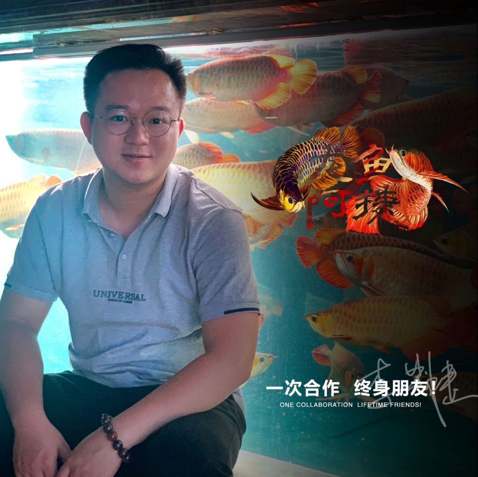 紅龍魚最便宜多少錢