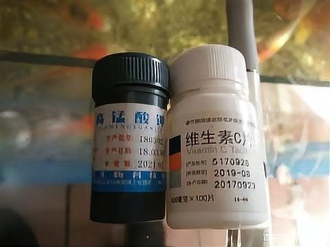 觀賞魚殺菌鹽使用方法