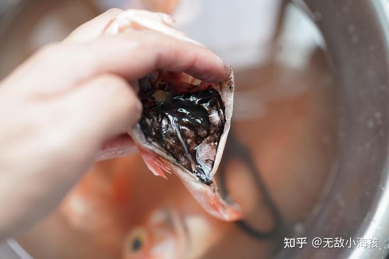 虎頭魚(yú)多少錢(qián)一斤