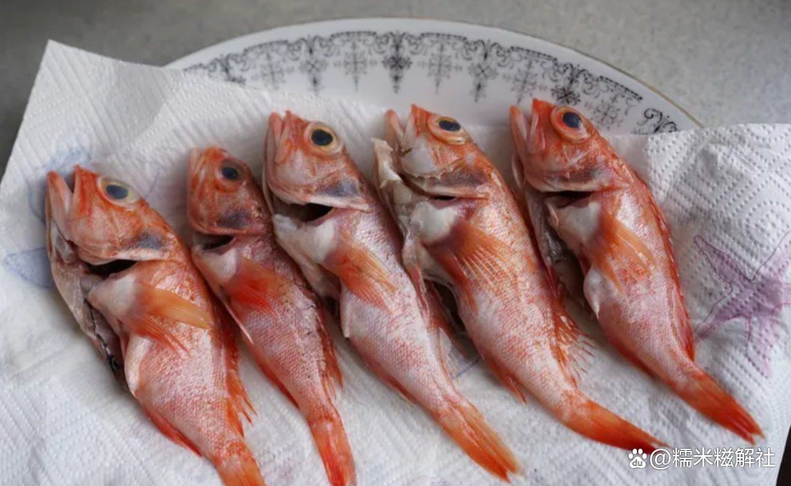 虎頭魚(yú)多少錢(qián)一斤
