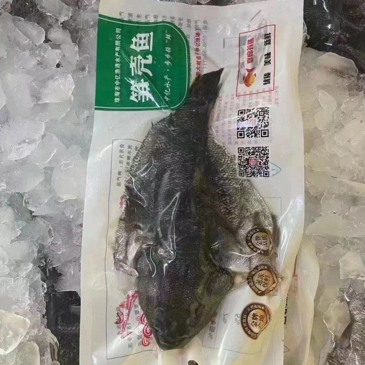 虎頭魚(yú)多少錢(qián)一斤