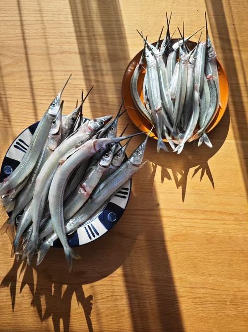 淡水劍魚圖片 淡水劍魚圖片 龍魚論壇 第3張