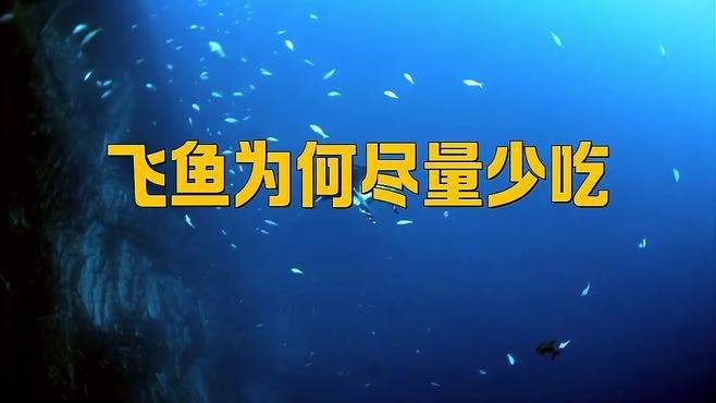 飛魚為何盡量少吃 飛魚為何盡量少吃 龍魚論壇 第1張