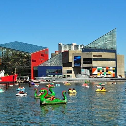 國家水族館名錄2024最新消息 國家水族館名錄2024最新消息 龍魚論壇 第1張
