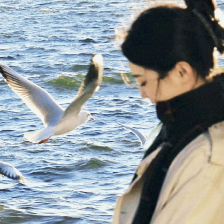 國家水族館名錄2024最新消息 國家水族館名錄2024最新消息 龍魚論壇 第11張