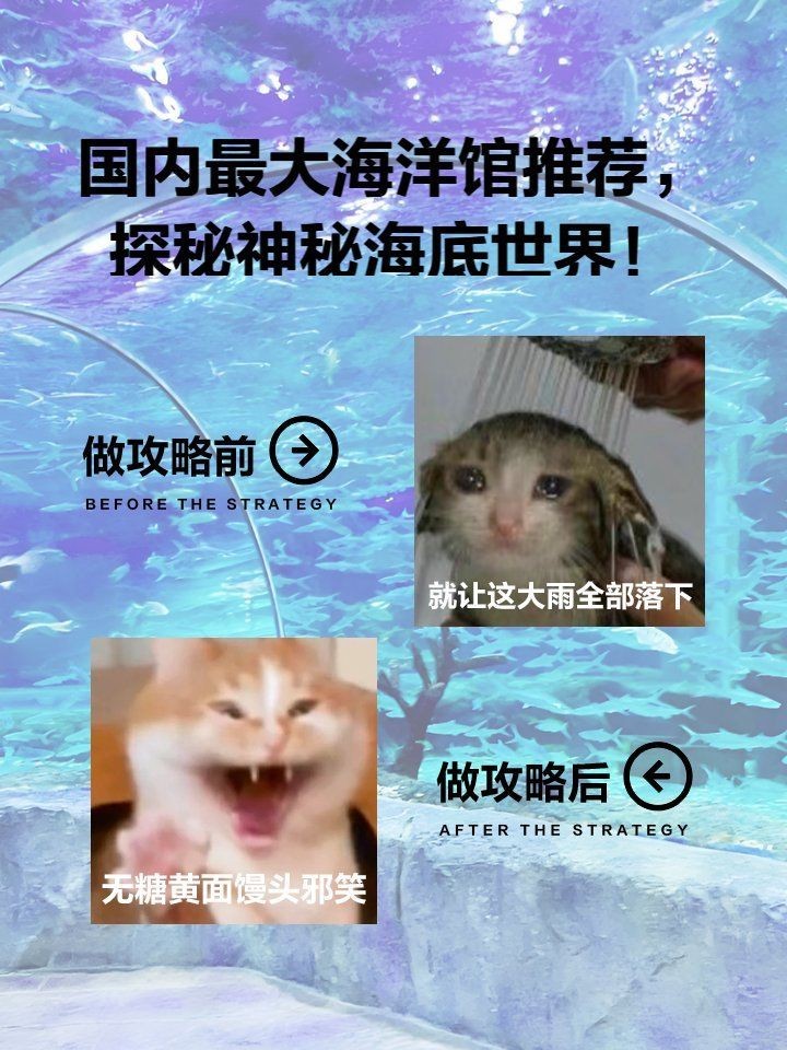 國家水族館名錄2024最新消息 國家水族館名錄2024最新消息 龍魚論壇 第10張