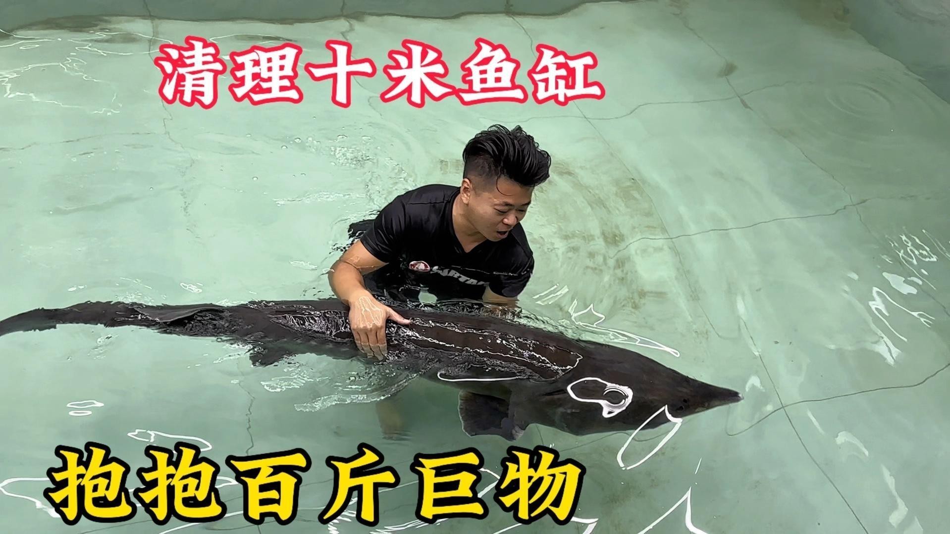 愛養魚的龍龍最新視頻合集大全 愛養魚的龍龍最新視頻合集大全 龍魚論壇 第2張