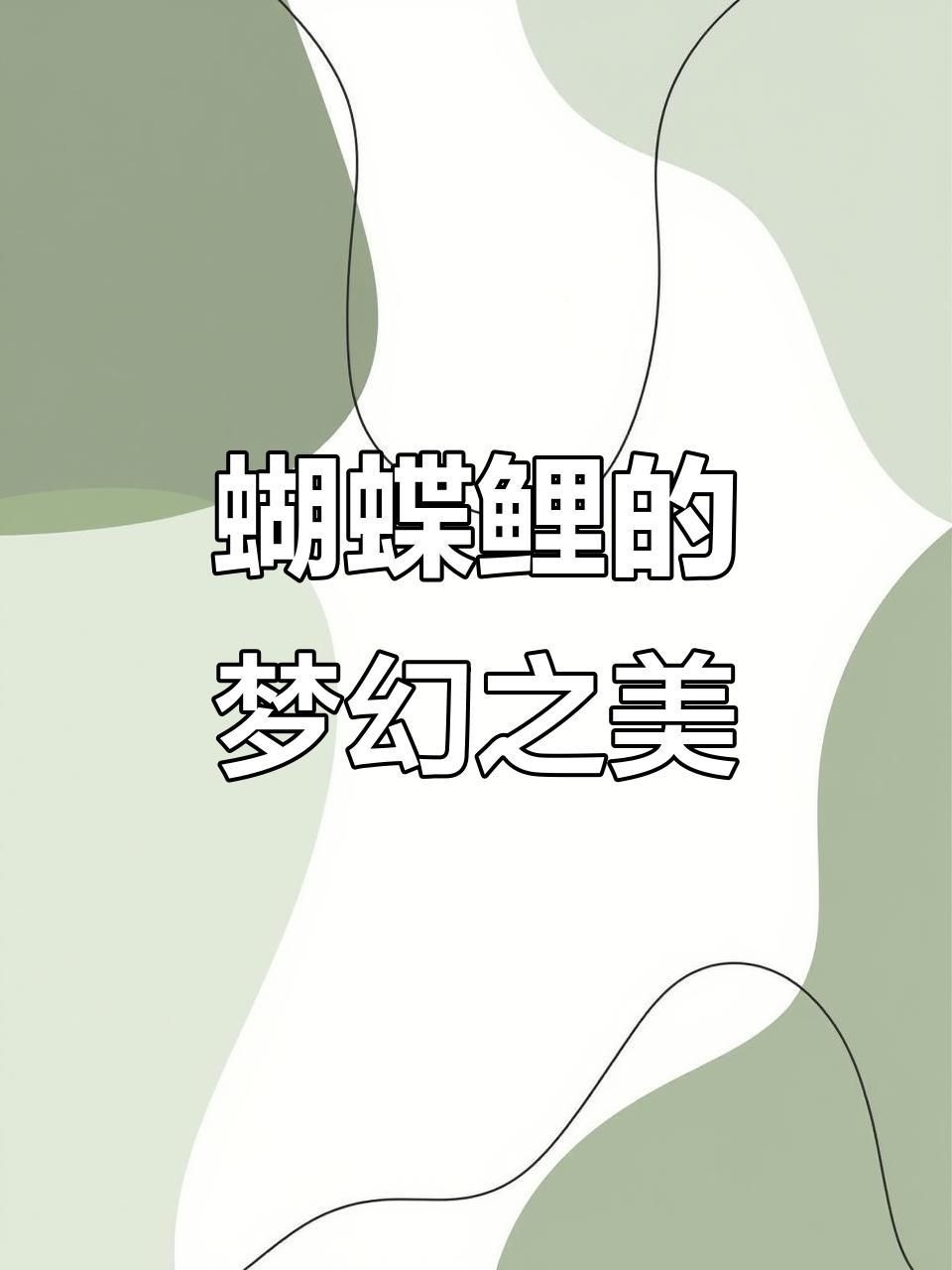 蝴蝶鯉哪個品種最好