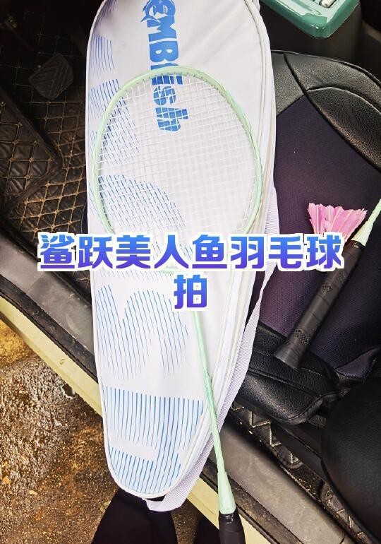 鯊魚球拍什么牌子 鯊魚球拍什么牌子 龍魚論壇 第3張