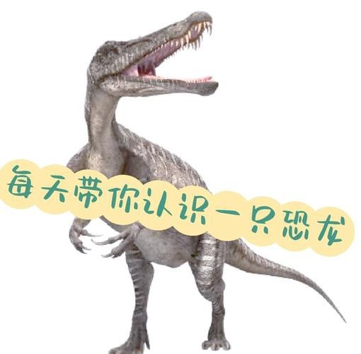 鱷魚恐龍圖片大全大圖 鱷魚恐龍圖片大全大圖 龍魚論壇 第4張