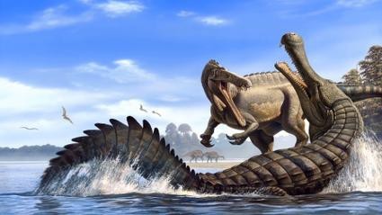 鱷魚恐龍圖片大全大圖 鱷魚恐龍圖片大全大圖 龍魚論壇 第11張