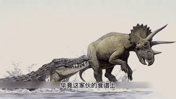 鱷魚恐龍圖片大全大圖 鱷魚恐龍圖片大全大圖 龍魚論壇 第12張